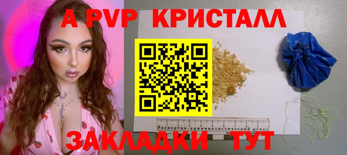 A-PVP СК Курчалой