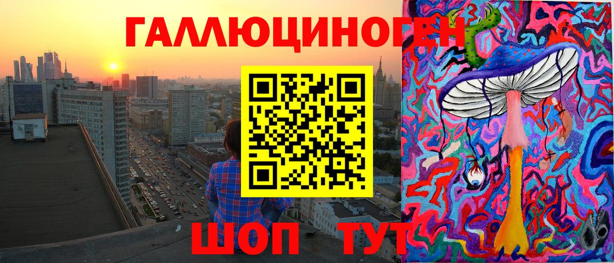 Псилоцибиновые грибы Psilocybe Курчалой