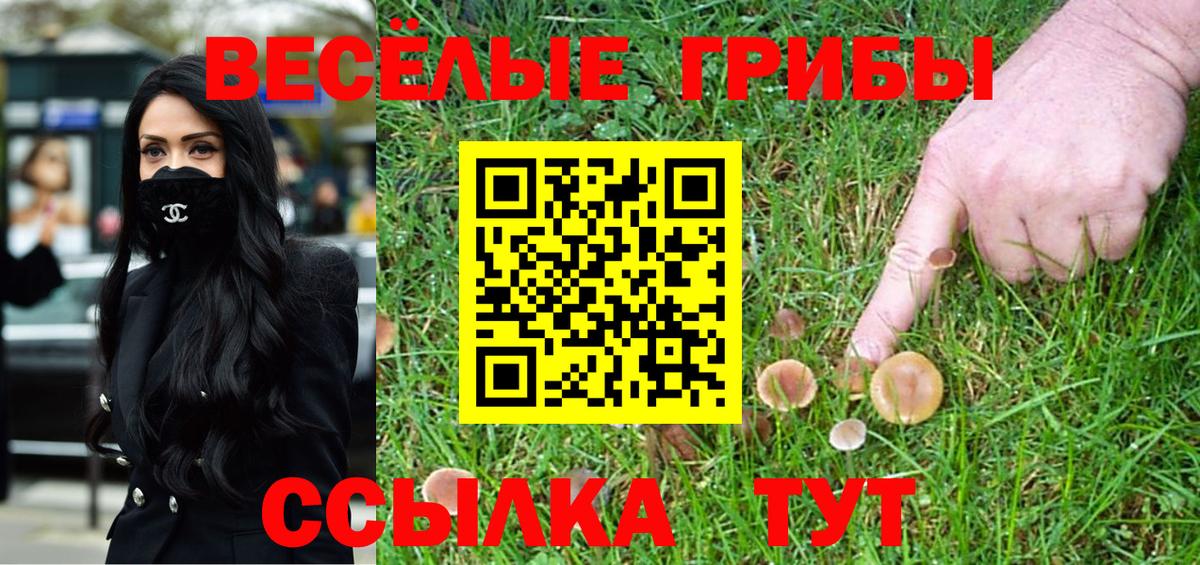 Галлюциногенные грибы Cubensis  Галлюциногенные грибы Psilocybine cubensis  Вход с VPN  Курчалой 