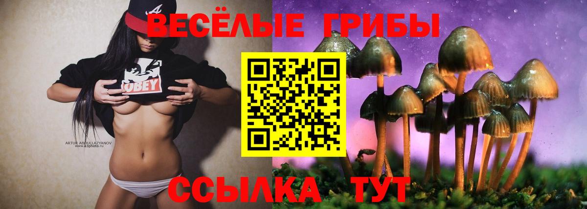 Alpha-PVP СК кристаллы  COCAIN  Вход с VPN  Канабис  НБОМе  Меф МЯУ МЯУ кристаллы  Курчалой  Codein 