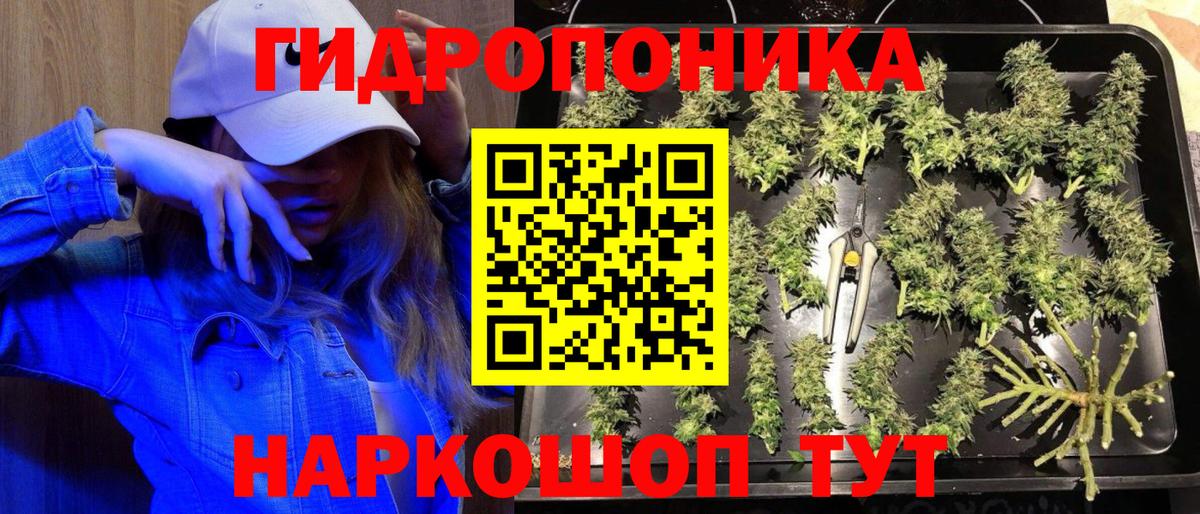 Шишки марихуана LSD WEED  Каннабис SATIVA & INDICA  Вход с VPN  Курчалой 
